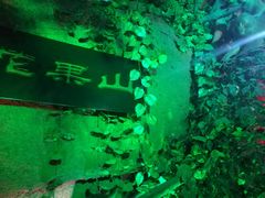景点-游龙石文化科普馆
