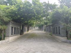 -北京十三陵国家森林公园蟒山景区
