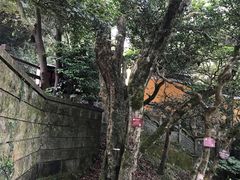 -普陀山慧济禅寺