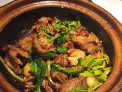 -煲煲好(朝阳门店)