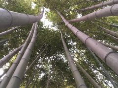 -上海市龙华烈士陵园