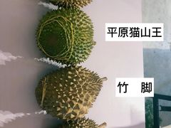 -都念榴莲·城市榴莲