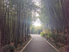 -穹窿山景区
