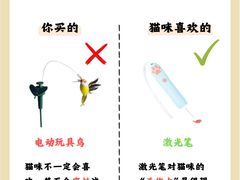 -半岛宠物医院24小时(科华中路店)