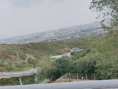 -大青山野生动物园