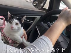 -甄爱宠物医院(疏影路店)
