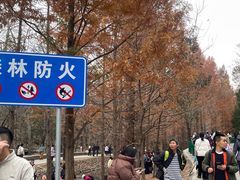 -白水寺森林公园