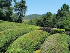 -敬亭山风景名胜区