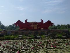 -泗洪洪泽湖湿地景区