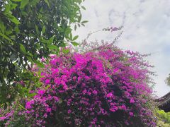 -成都杜甫草堂博物馆