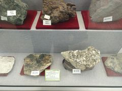 -北京中医药大学-中医药博物馆