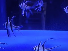 -海合安青岛极地海洋公园