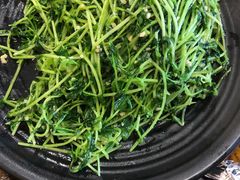 蒜蓉炒豆苗-石锅先生
