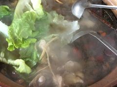 -威邵鸡煲(西华路总店)