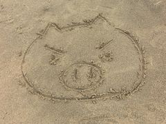 -白城沙滩