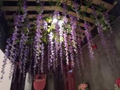 -Cocodemer 产后恢复中心(多伦路店)