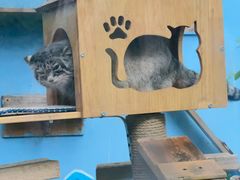 -青藏高原野生动物园