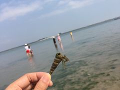 -北海金海湾红树林生态旅游区