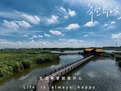 -宁波杭州湾国家湿地公园
