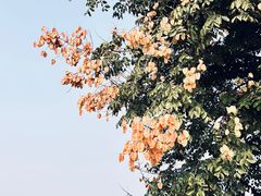 -汉长安城未央宫国家考古遗址公园