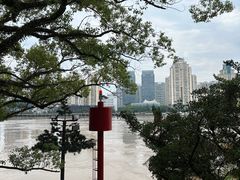-江心屿景区