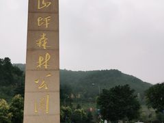 -铁山坪森林公园