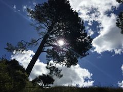 Hobbiton&nbsp;Movie&nbsp;Set&nbsp;Tours-霍比特人村