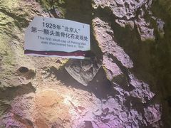 -北京周口店北京人遗址博物馆