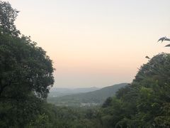 -韬光茶庵
