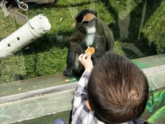 -西安秦岭野生动物园