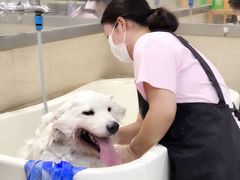 -多卡布奇宠物生活馆(上林世家店)