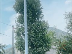 -虎啸峡漂流