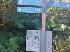 -梧桐山风景名胜区