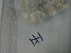 -袁记云饺(西安路店)