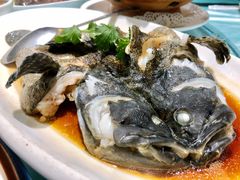 老虎斑-一麦·龙岛(上海青浦店)