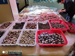-鹰龙海畔度假酒店(咸祥店)