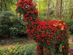 -上海共青森林公园