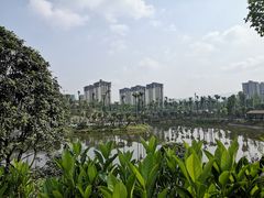 -枫香湖儿童公园