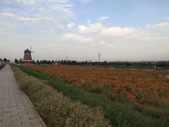 -君乐宝优致牧场
