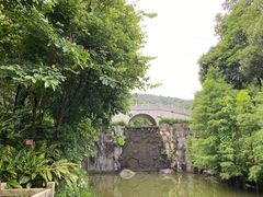 -广州市帽峰山景区