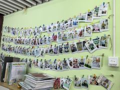 -学知乐教育·幼小衔接·小学科辅导(嘉定镇校区)