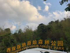 -西双版纳原始森林公园