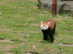 -上海野生动物园