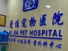 -爱佳宠物中心医院24H·CT·骨外科·猫专科(瑶海万达店)