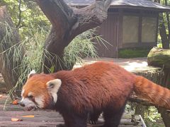 -云南野生动物园