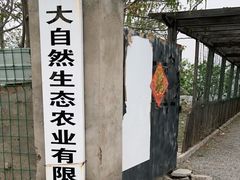 -大自然农场蔬菜草莓采摘园