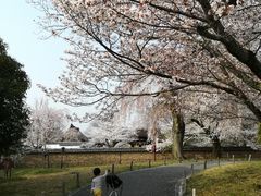 -醍醐寺