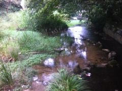 -黔灵山公园-南门售票处