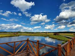 -塞罕坝国家级自然保护区