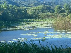 -东钱湖旅游度假区